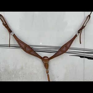 Horse bridle and Brest Collar set